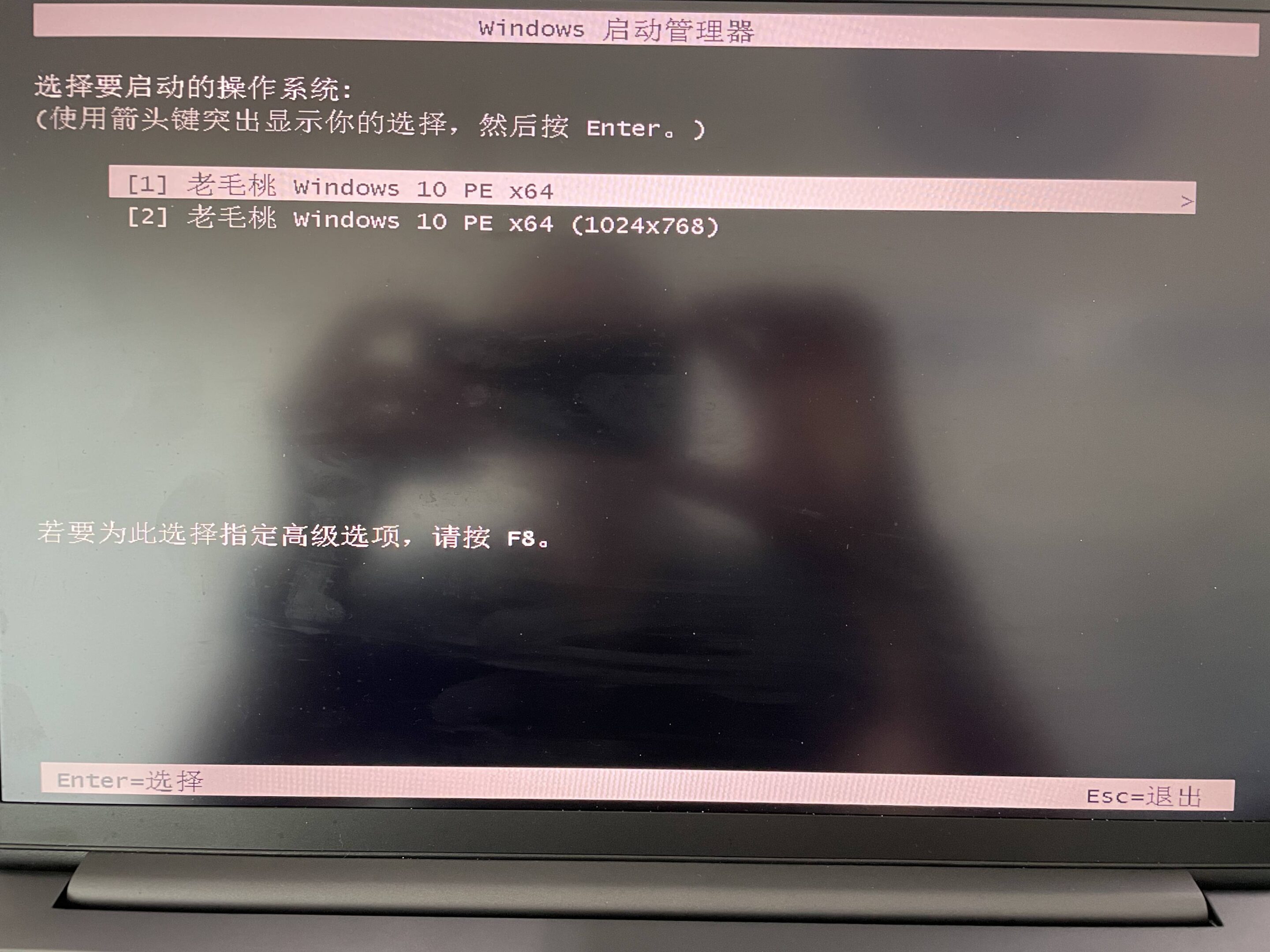 IMG5301 白哥在线