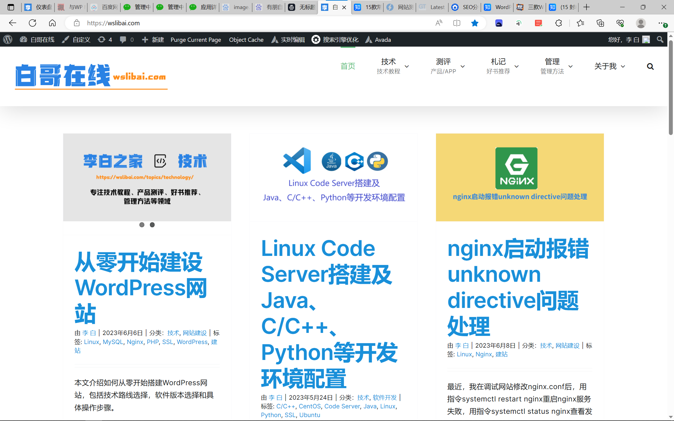 Pasted image 20230614154410 白哥在线